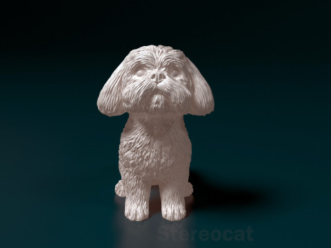 Maltese dog Modelo de Impressão 3D
