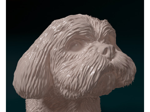 Maltese dog Modelo de Impressão 3D