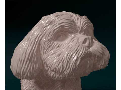Maltese dog 3D Print Model