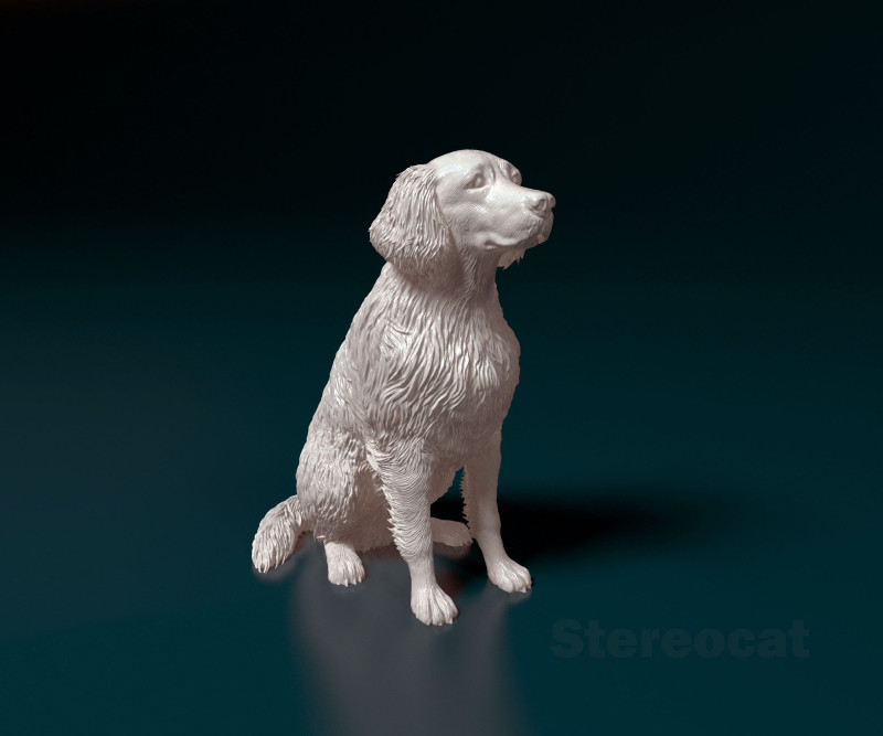 Retriever mix dog Modelo de impresión 3D .c4d .max .obj .3ds .fbx .stl .blend 