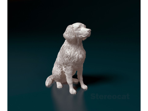 Retriever mix dog Modelo de impresión 3D