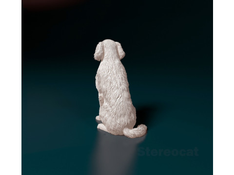 Retriever mix dog Modelo de impresión 3D