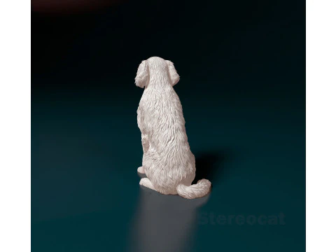 Retriever mix dog 3D Print Model