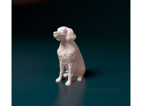 Retriever mix dog Modelo de impresión 3D