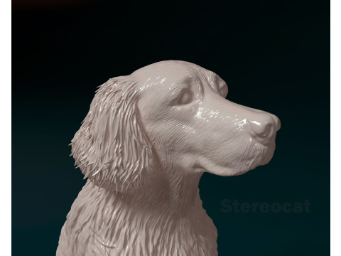 Retriever mix dog Modelo de impresión 3D