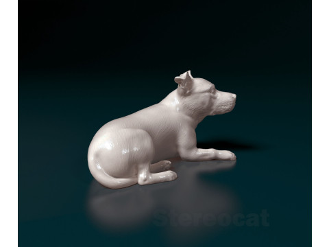 Staffordshire Bullterrier 3D Print Model