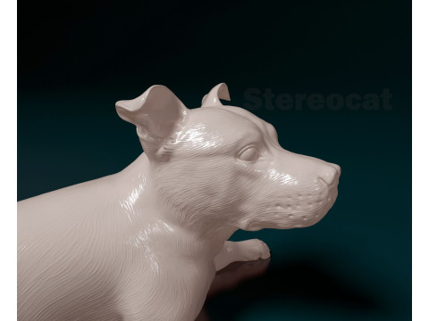 Staffordshire Bullterrier 3D Print Model