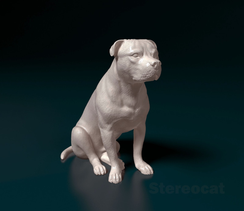 Staffordshire Bullterrier 09 Modelo de Impressão 3D .c4d .max .obj .3ds .fbx .stl .blend 