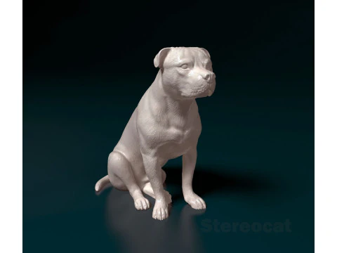 スタッフォードシャー ブルテリア 09 3Dプリントモデル