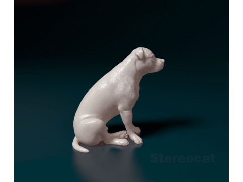 Staffordshire Bullterrier 09 Modelo de Impressão 3D