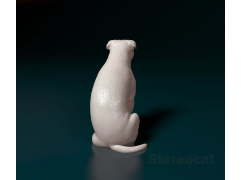 Staffordshire Bullterrier 09 Modelo de Impressão 3D