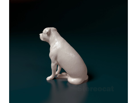 Staffordshire Bullterrier 09 Modelo de Impressão 3D