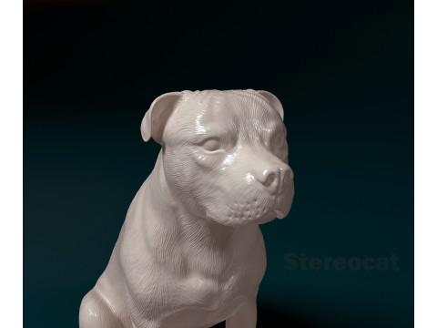 Staffordshire Bullterrier 09 Modelo de Impressão 3D
