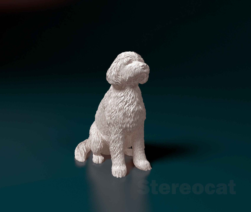 Old English sheepdog 3D 打印模型 .c4d .max .obj .3ds .fbx .stl .blend 