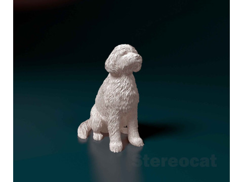 Old English sheepdog Modelo de impresión 3D