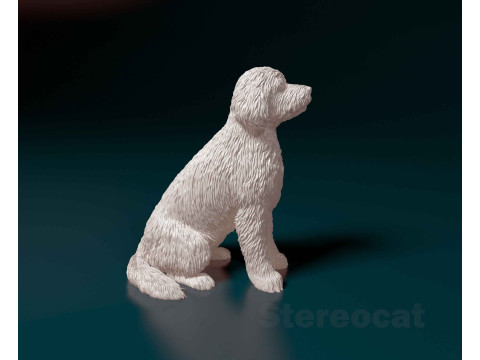 Old English sheepdog 3D 打印模型