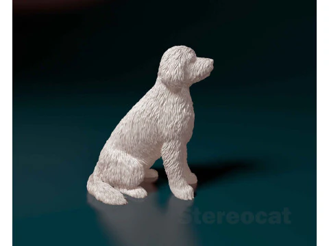 Old English sheepdog 3D Print Model