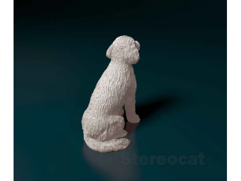 Old English sheepdog 3D Print Model