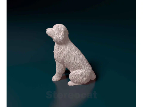 Old English sheepdog 3D Print Model