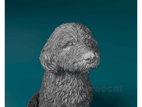 Old English sheepdog 3D 打印模型