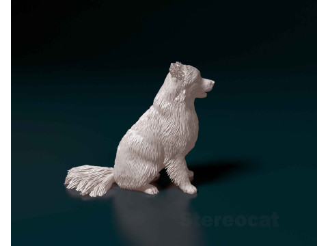 Pomeranian spitz 3D 打印模型