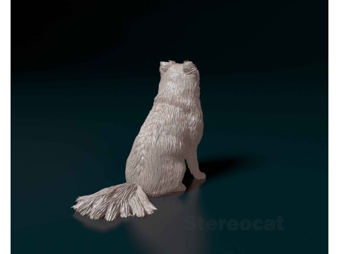 Pomeranian spitz 3D 打印模型