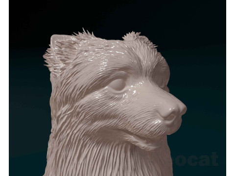 Pomeranian spitz 3D 打印模型
