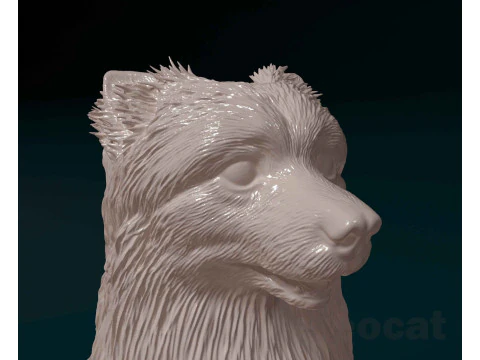 Pomeranian spitz 3D Print Model