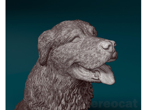 Pyrenean dog Modello di stampa 3D