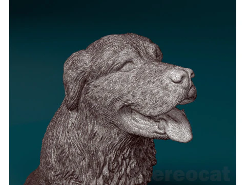 Pyrenean dog 3D Print Model