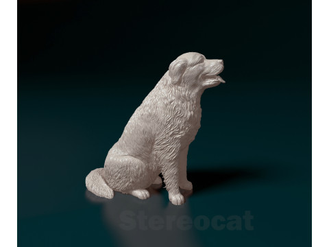 Pyrenean dog Modello di stampa 3D