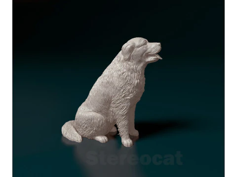 Pyrenean dog 3D Print Model