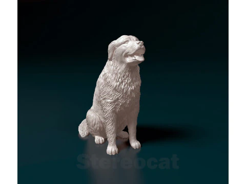 Pyrenean dog 3D Print Model
