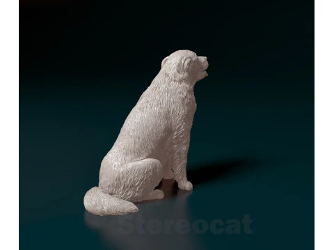 Pyrenean dog 3D Print Model