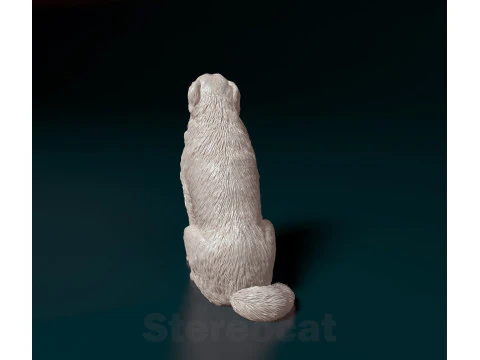 Pyrenean dog 3D Print Model