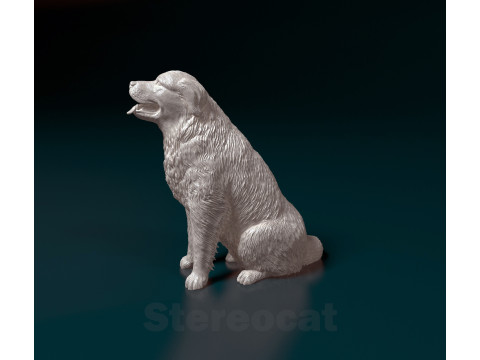Pyrenean dog Modello di stampa 3D