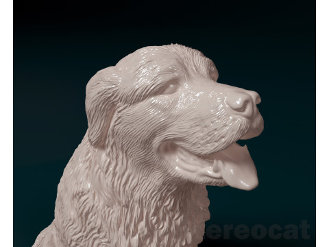 Pyrenean dog Modello di stampa 3D