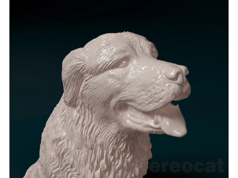 Pyrenean dog 3D Print Model
