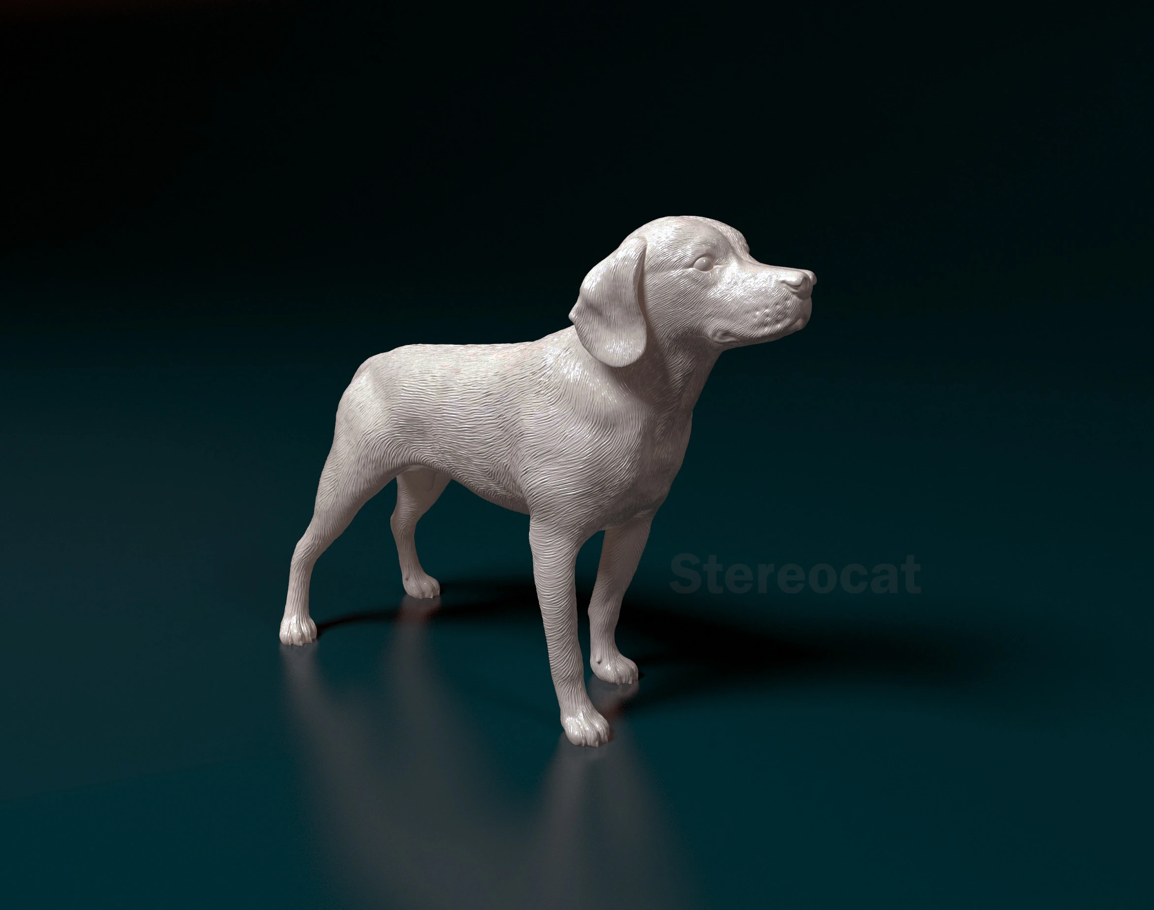 Beagle 3D Print Model .c4d .max .obj .3ds .fbx .stl .blend