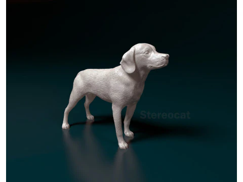 Beagle 3D Print Model