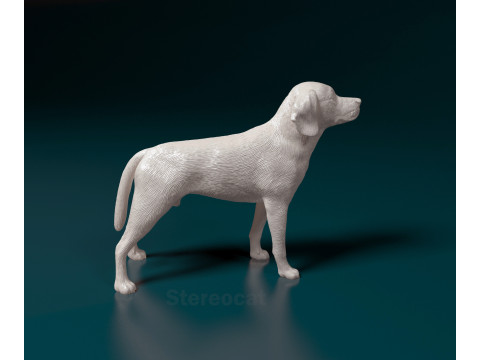 Beagle 3D Print Model