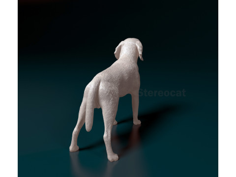 Beagle 3D Print Model
