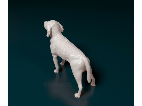 Beagle 3D Print Model