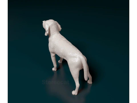 Beagle 3D Print Model