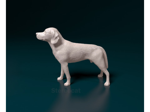 Beagle 3D Print Model