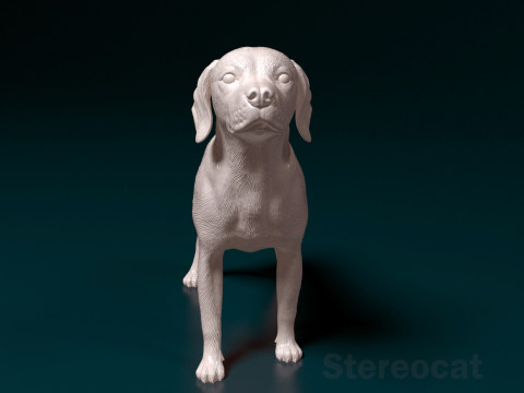 Beagle 3D Print Model