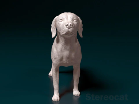 Beagle 3D Print Model