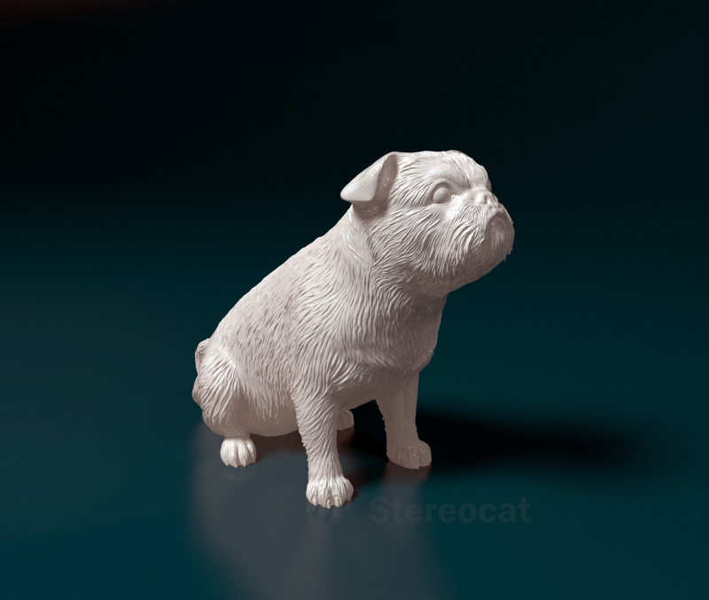 American Lo-Sze pugg 3D Print Model .c4d .max .obj .3ds .fbx .stl .blend 