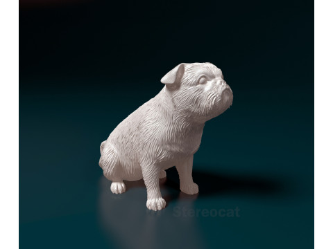 American Lo-Sze pugg 3D प्रिंट मॉडल