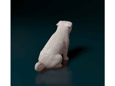 American Lo-Sze pugg 3D Print Model